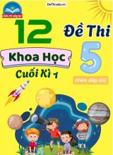 Tuyển tập 12 Đề thi cuối Kì 1 môn Khoa Học 5 Chân Trời Sáng Tạo (Kèm đáp án)